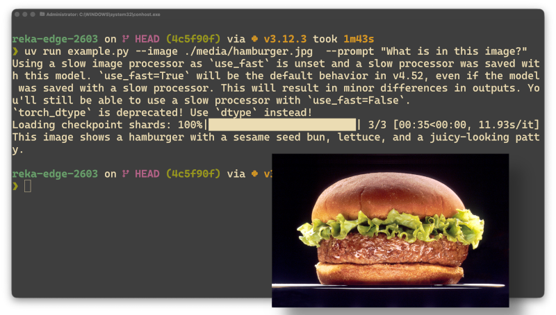 The prompt and the hamburger image